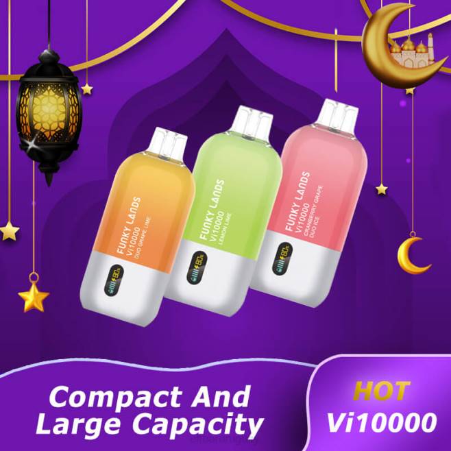 ELFBAR Funky Lands desechables vape vi10000 bocanadas arándano rosa menta VHPV163